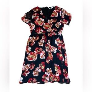 Madewell Black French Rose Print Dress